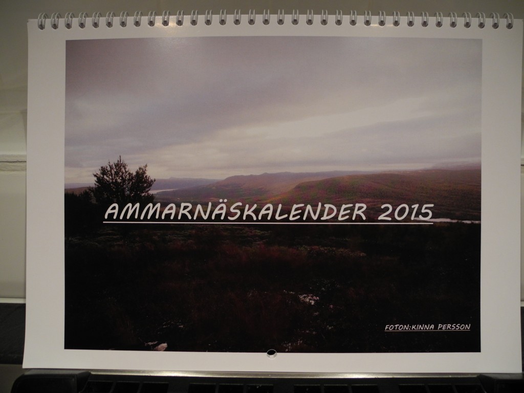 kalender 2015 007