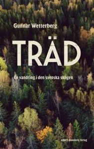 trad-en-vandring-i-den-svenska-skogen