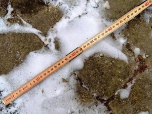 30 cm snö