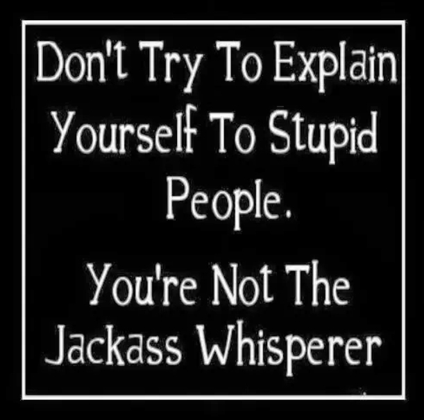 Dont_Try_to_Explain_Yourself_to_Stupid_People__42129.1405426399.1280.1280
