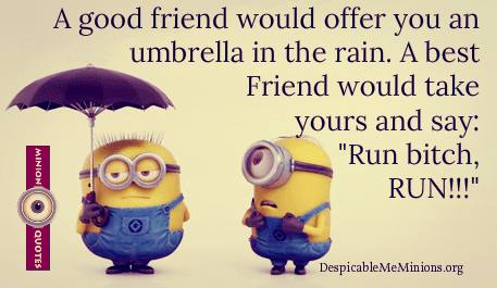 Funny-Friendship-Quotes-A-good-friend-would-offer-you-an-umbrella