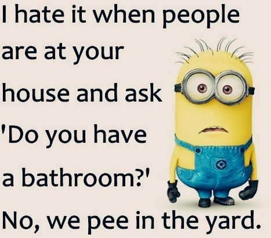 funny-minion-quotes-images-and-friendship-minion-quotes-6
