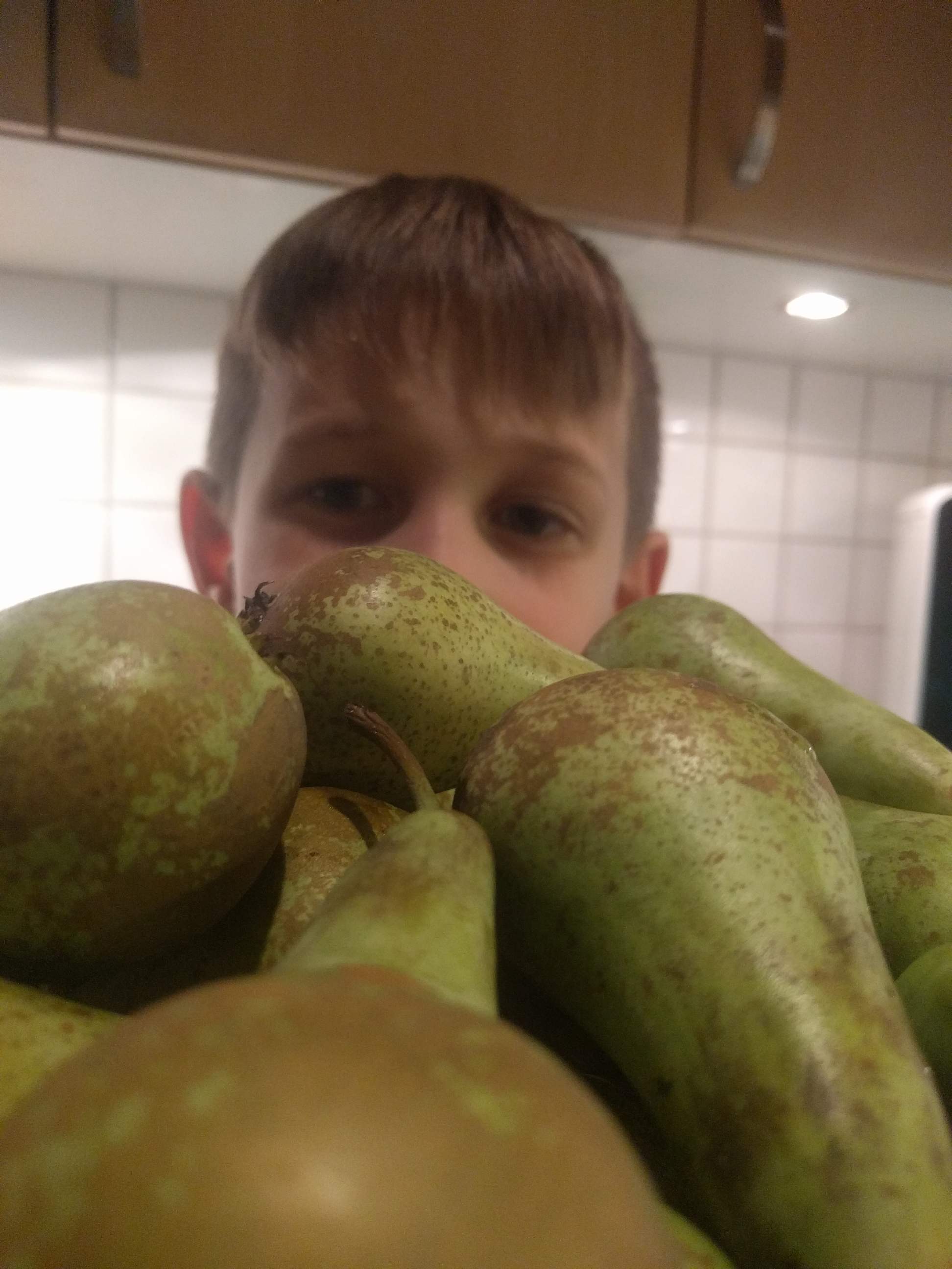 Idag har jag köpt 28 stycken päron vilket...