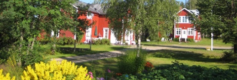 Gårdsmiljön hemma i Hjåggsjö formas av trädgården