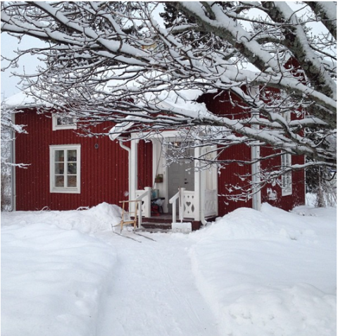 Siri Lindgrens hus i Degernäs med den stora eken.